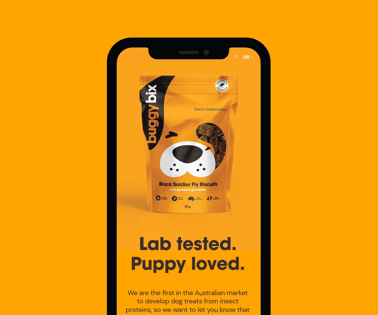 Creative Packaging Design project for pet care products brand Buggy Bix, Sydney, Australia, image H